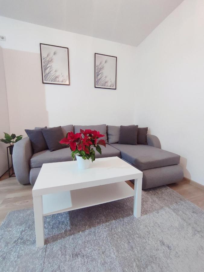 Central Residence Baia Mare Zewnętrze zdjęcie